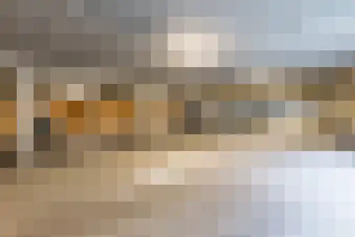 Teakhout 67 Zaandam thumbnail 30