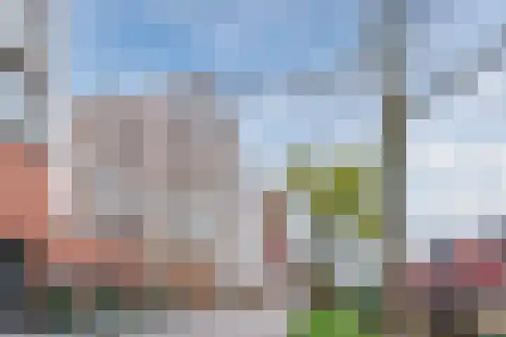 Teakhout 67 Zaandam thumbnail 37