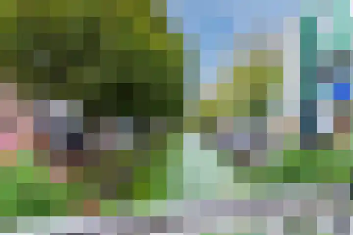 Teakhout 67 Zaandam thumbnail 40