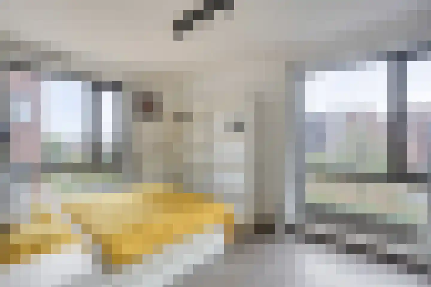 Teakhout 68 Zaandam thumbnail 13
