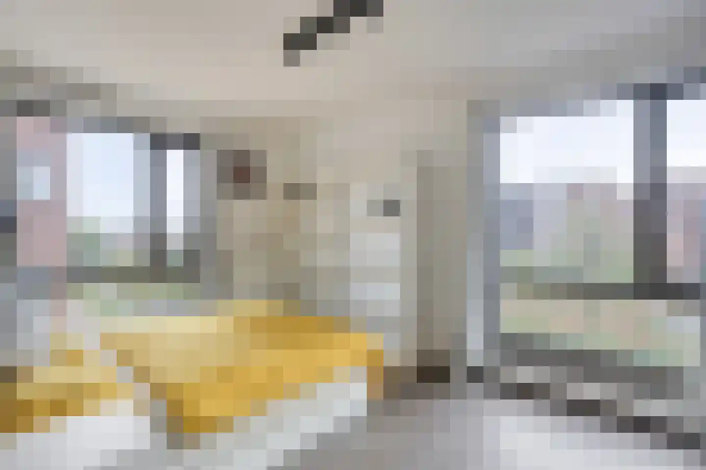 Teakhout 68 Zaandam thumbnail 13