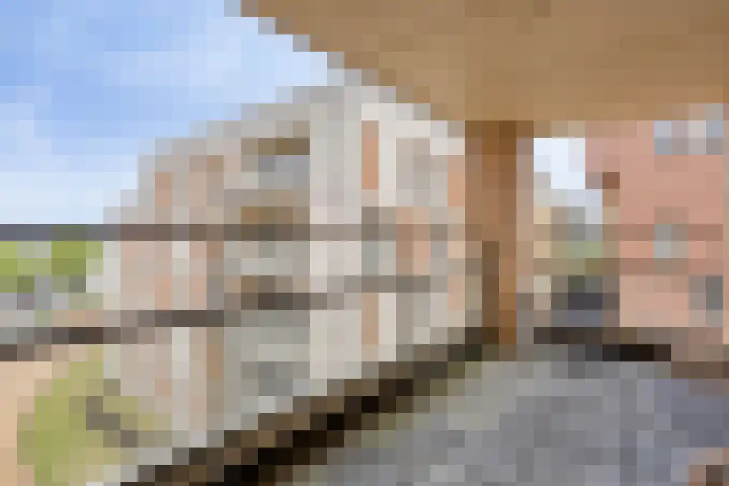 Teakhout 68 Zaandam thumbnail 27