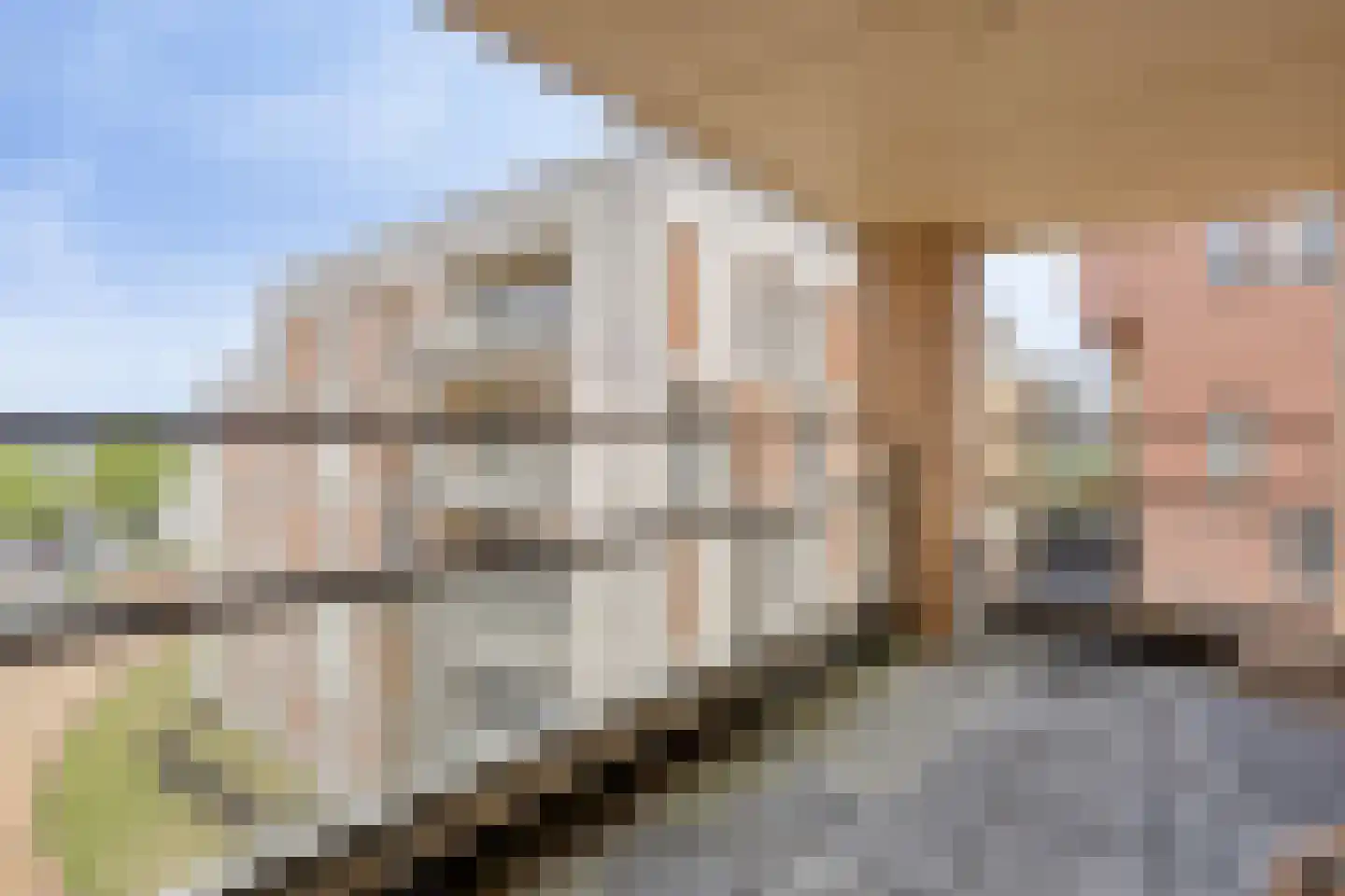 Teakhout 68 Zaandam thumbnail 27
