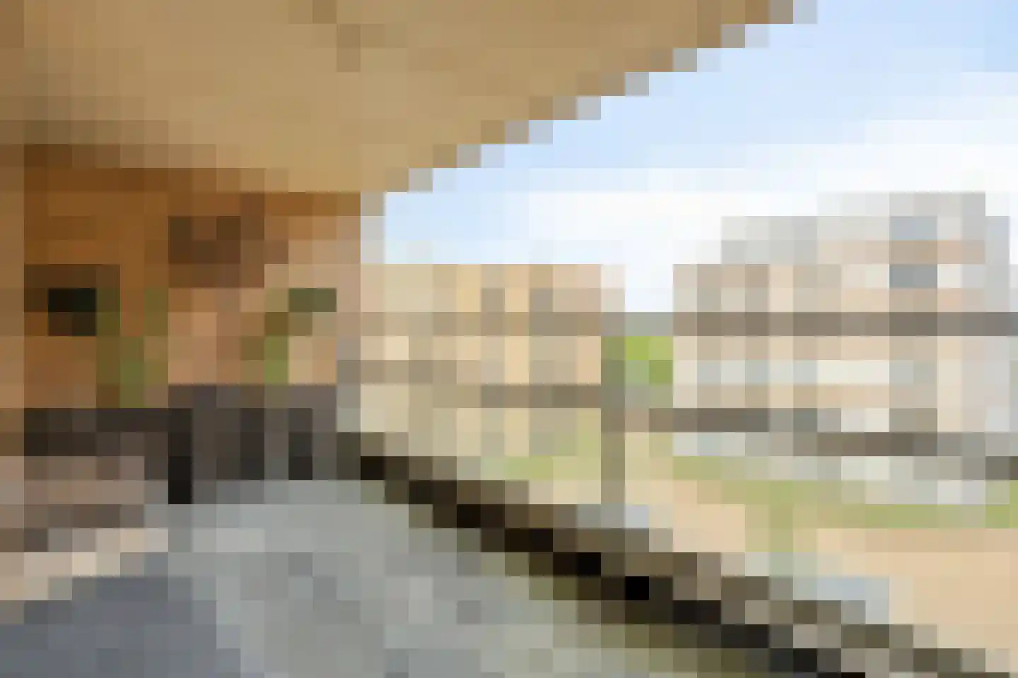 Teakhout 68 Zaandam thumbnail 29