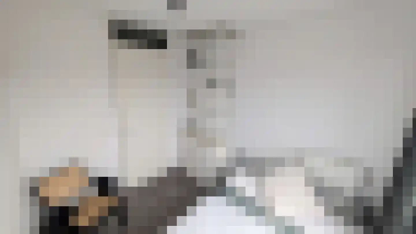 Teakhout 68 Zaandam thumbnail 8