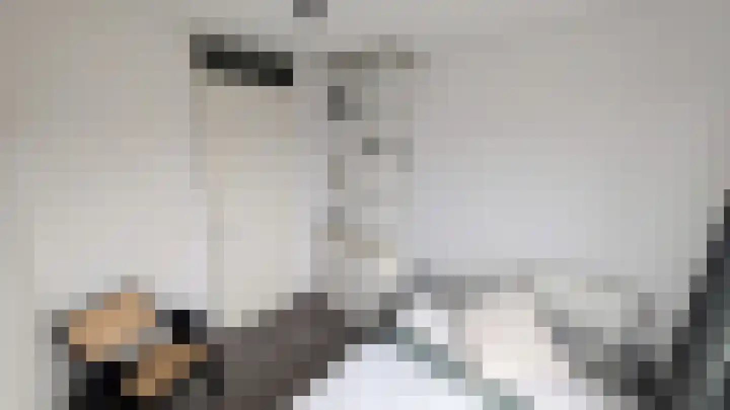 Teakhout 68 Zaandam thumbnail 8