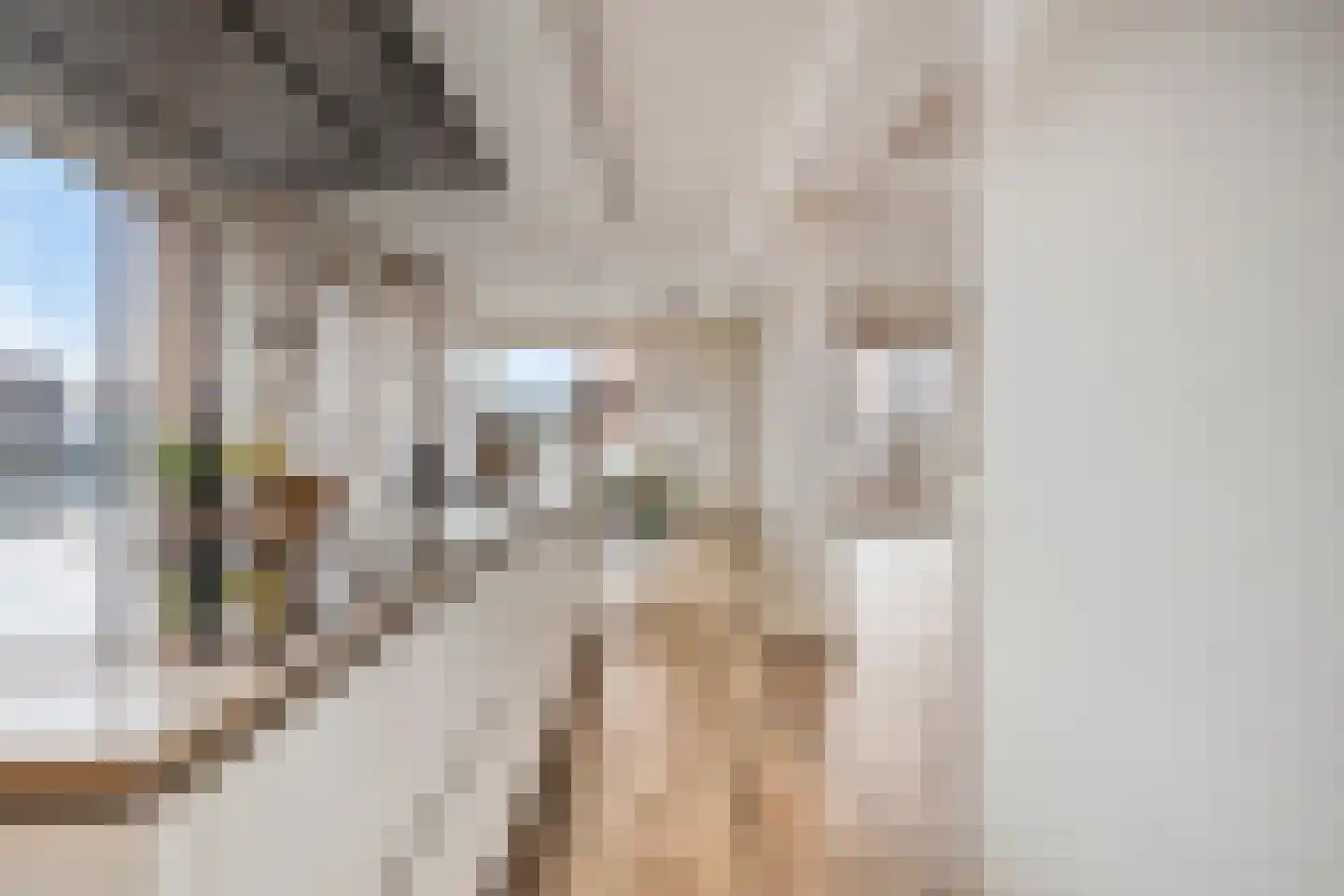 Teakhout 75 Zaandam thumbnail 11
