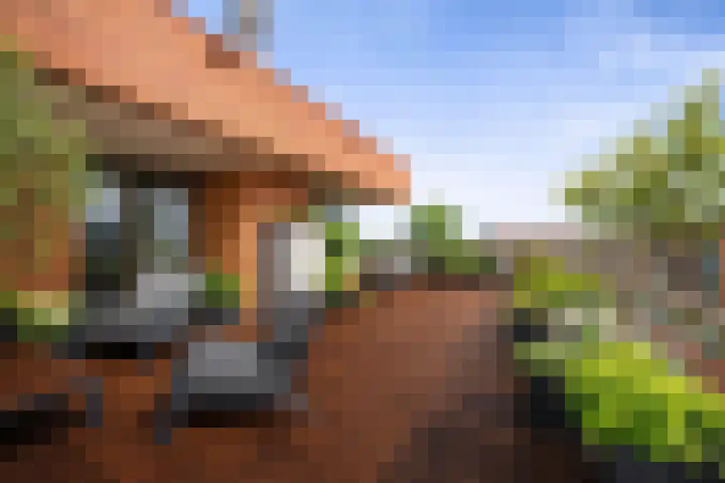 Teakhout 75 Zaandam thumbnail 27