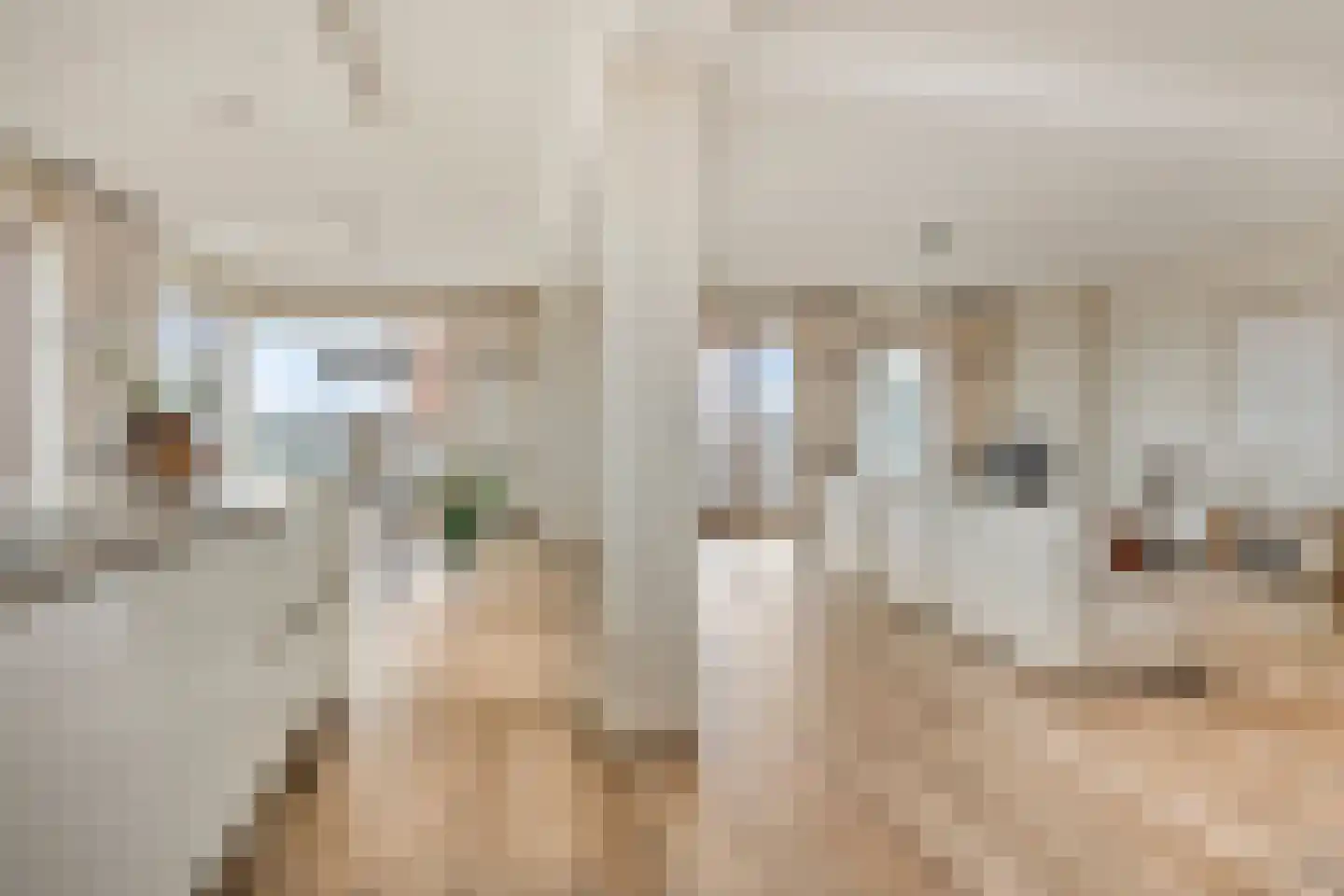 Teakhout 75 Zaandam thumbnail 7
