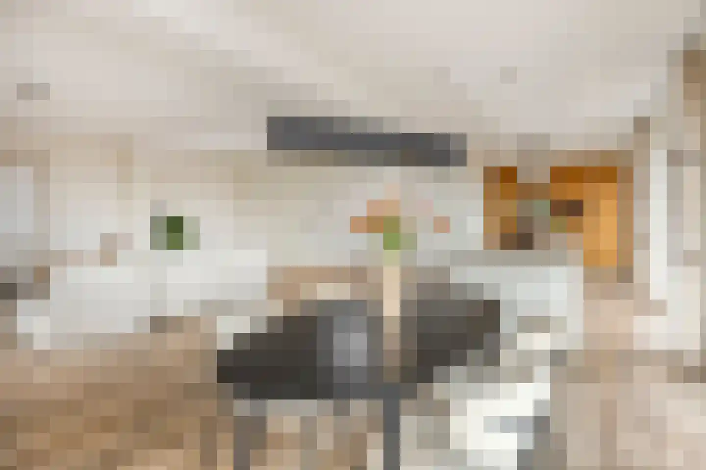 Teakhout 75 Zaandam thumbnail 9