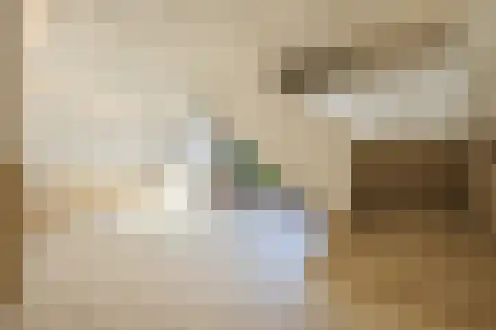 Teakhout 87 Zaandam thumbnail 31
