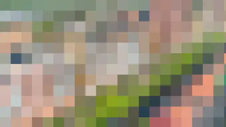 Teakhout 87 Zaandam thumbnail 37