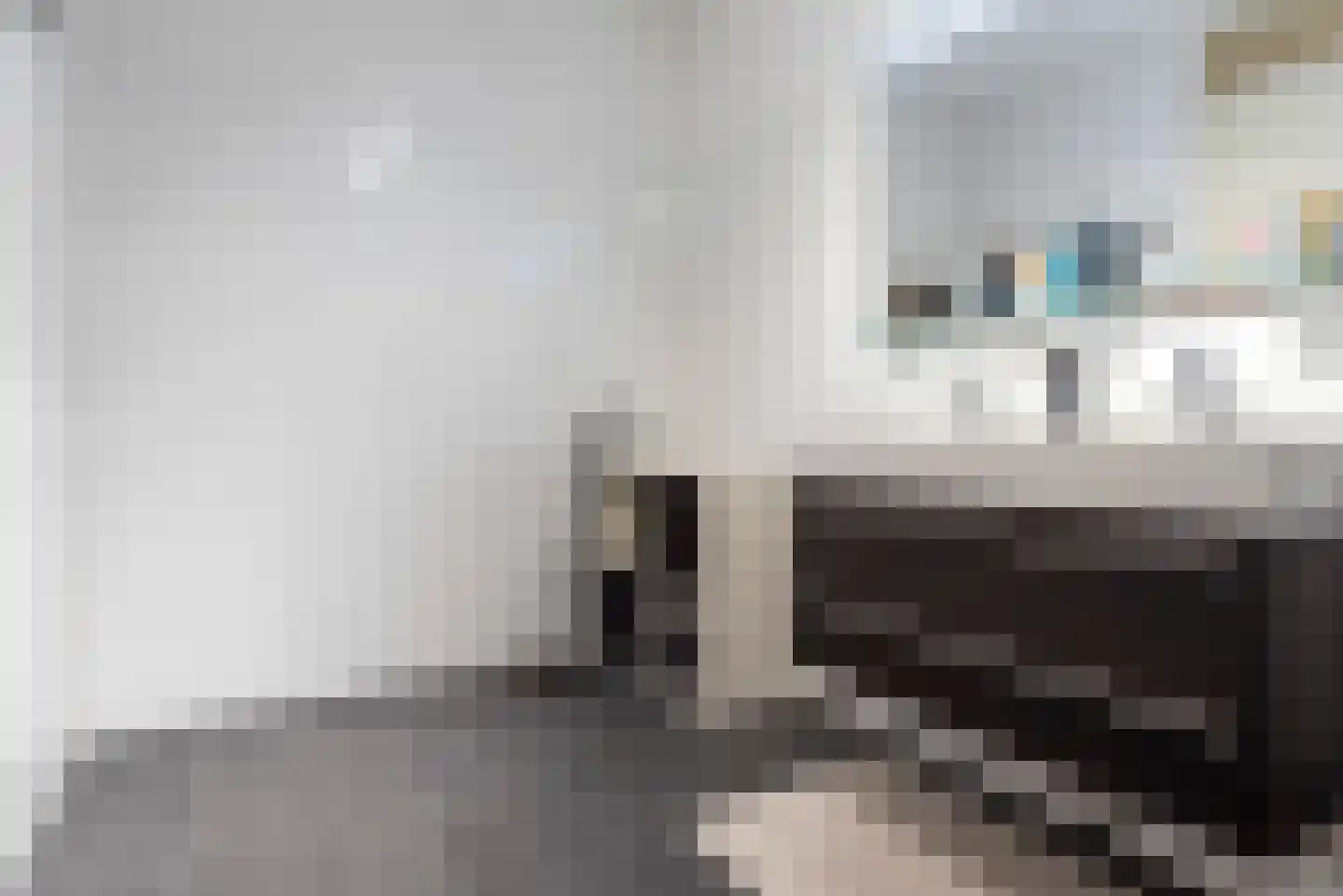 Teakhout 88 Zaandam thumbnail 17