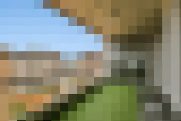 Teakhout 91 Zaandam thumbnail 10