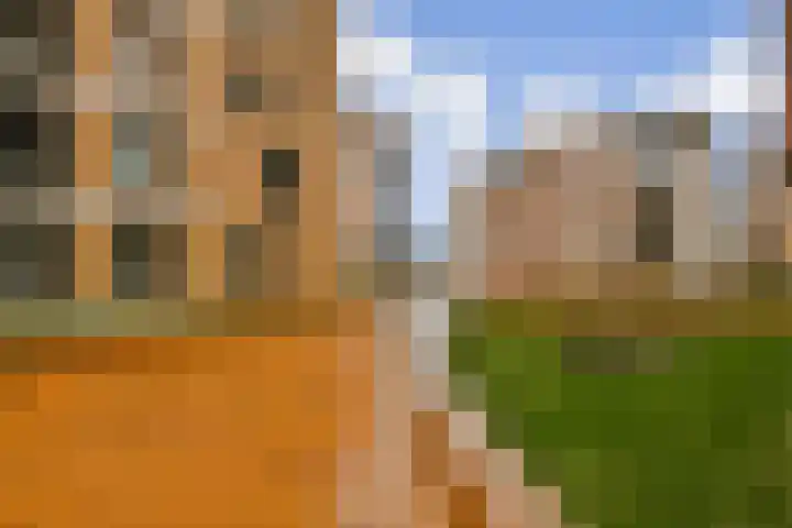 Teakhout 91 Zaandam thumbnail 24