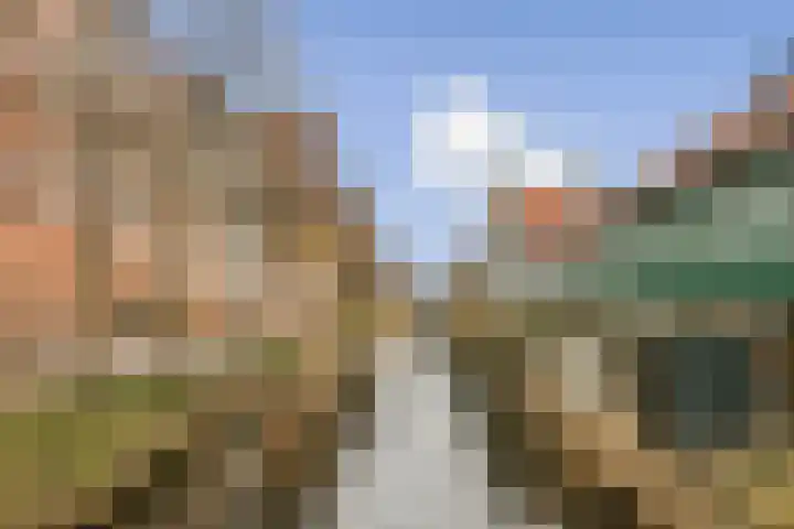 Teakhout 91 Zaandam thumbnail 26