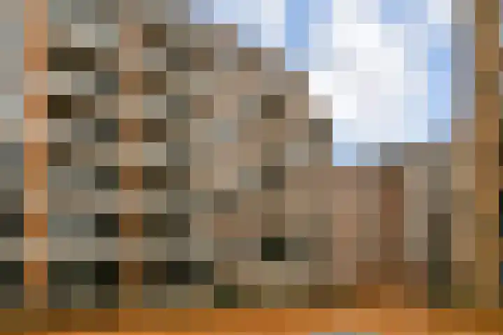 Teakhout 91 Zaandam thumbnail 28