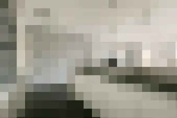 Teakhout 91 Zaandam thumbnail 8