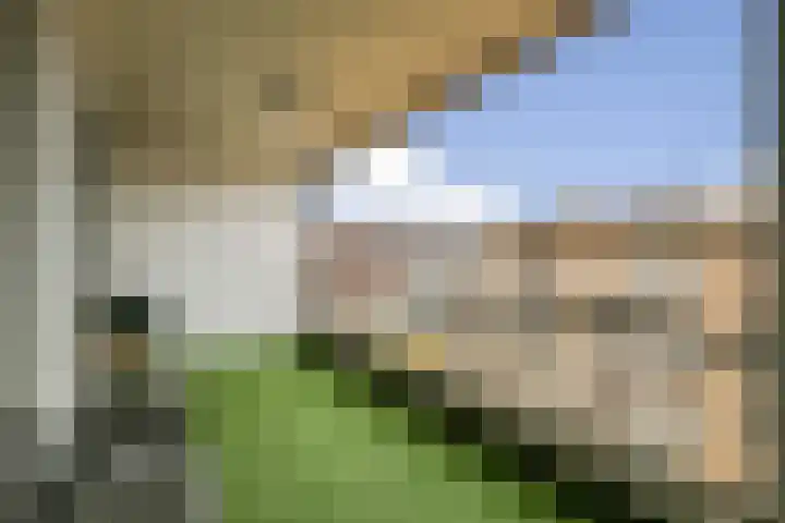 Teakhout 91 Zaandam thumbnail 9