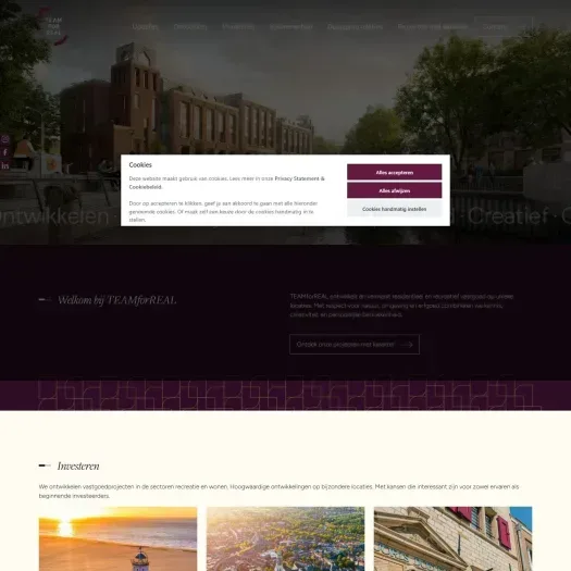 Screenshot van de website van www.teamforreal.nl