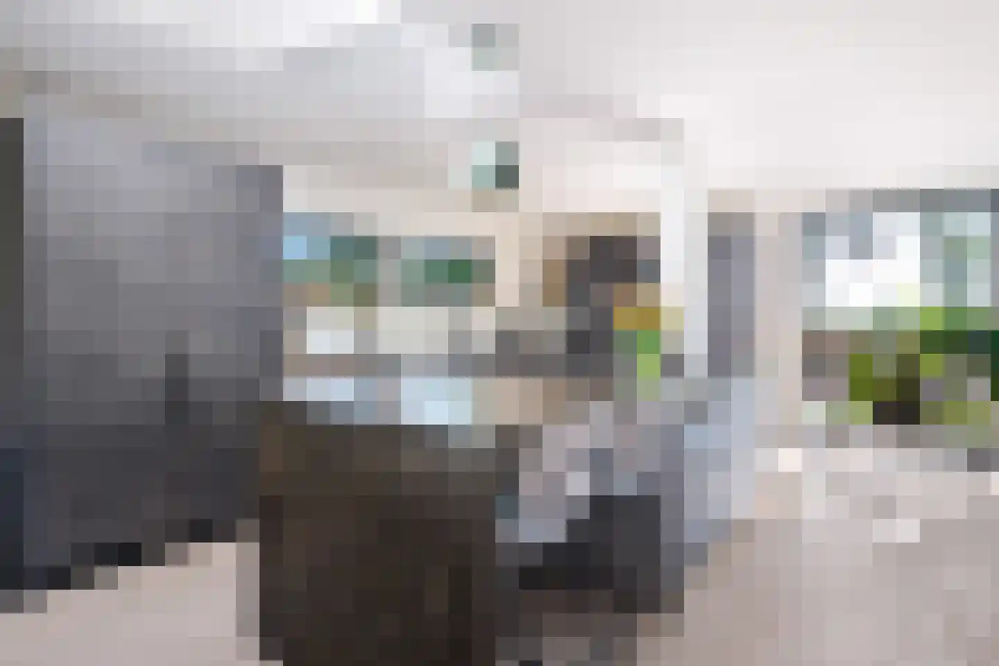 Tearnserdyk 18 Goutum thumbnail 14