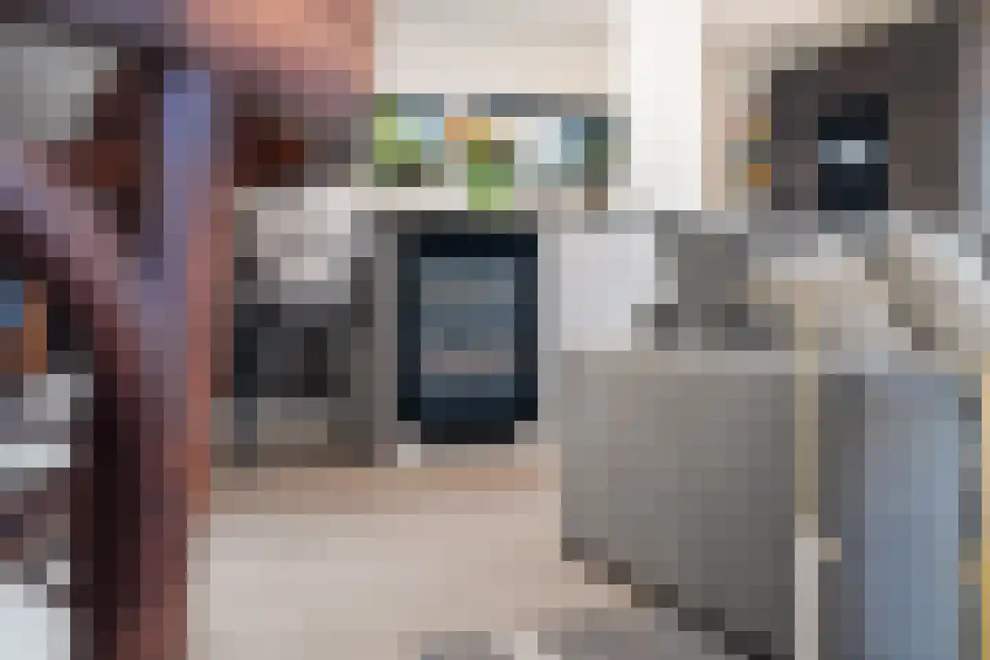 Tearnserdyk 18 Goutum thumbnail 23