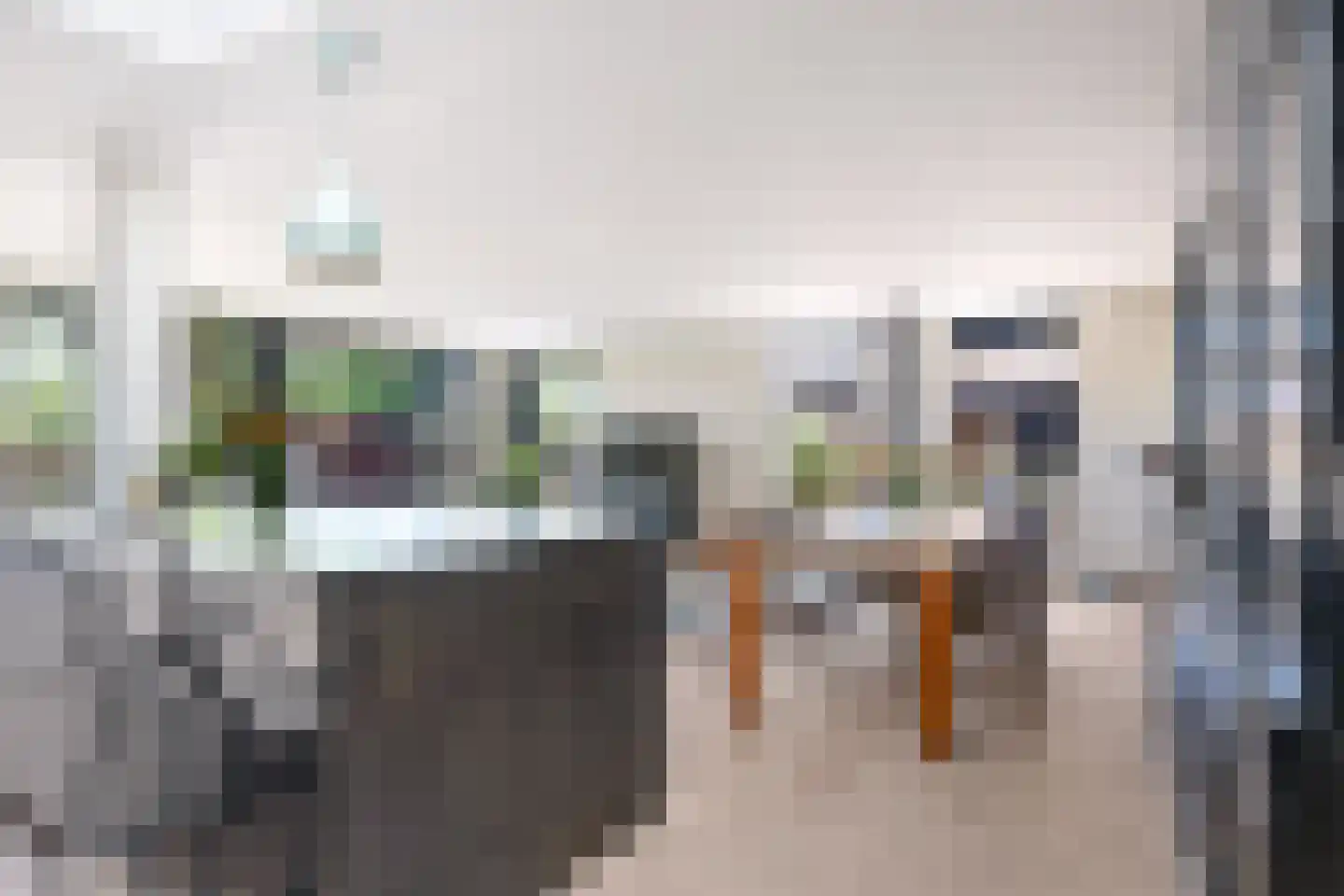 Tearnserdyk 18 Goutum thumbnail 25