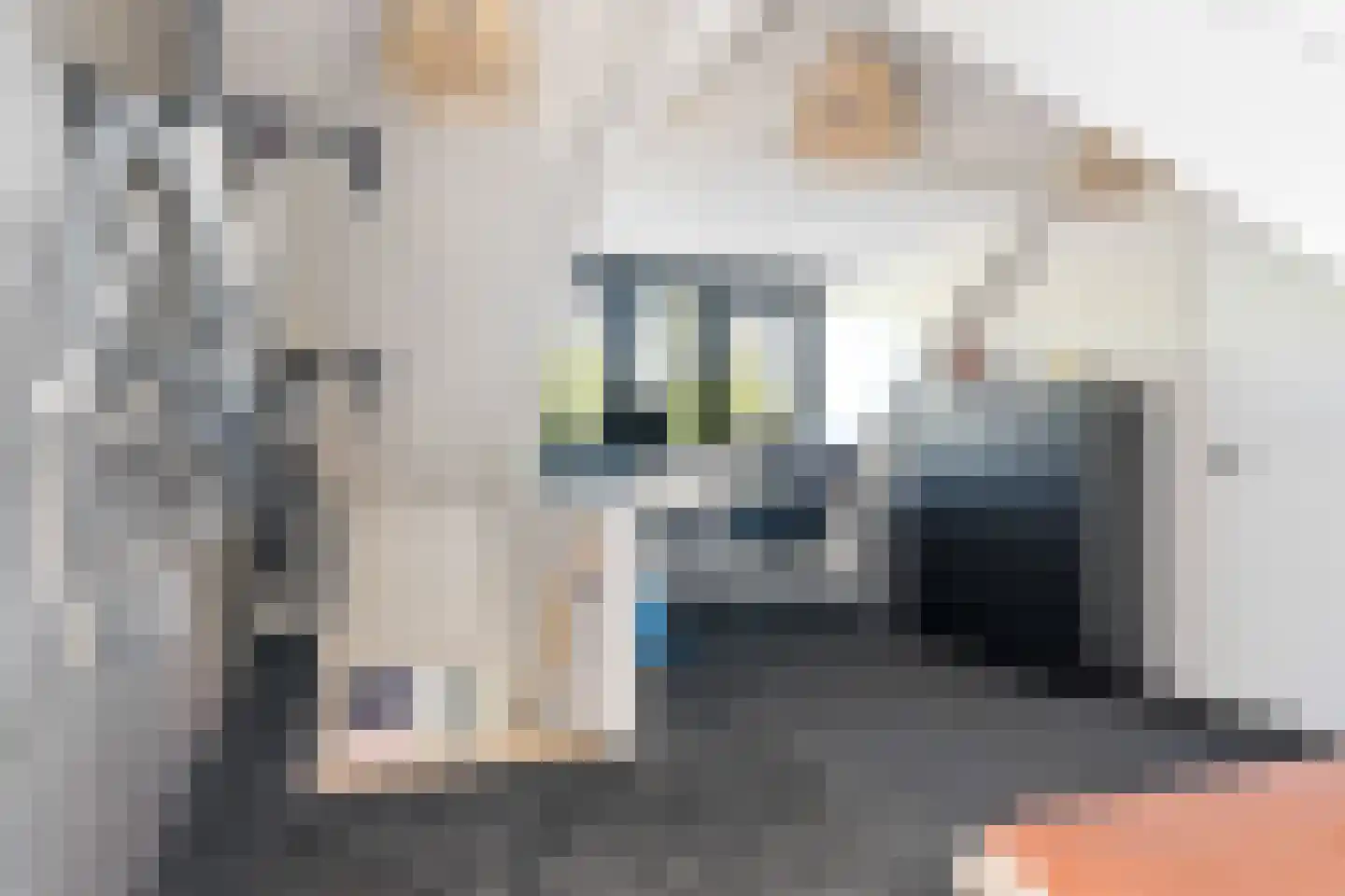 Tearnserdyk 18 Goutum thumbnail 33