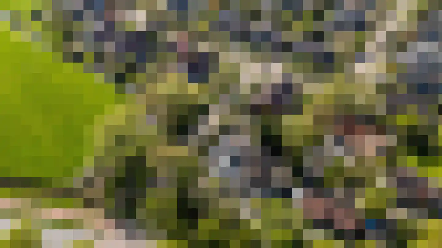 Tearnserdyk 18 Goutum thumbnail 5