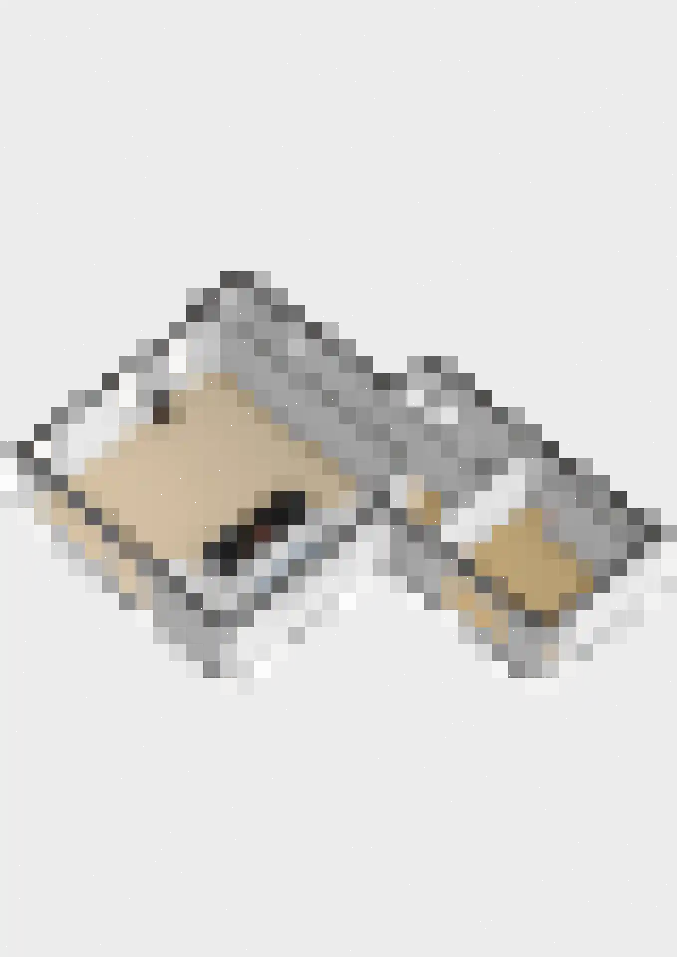 Tearnserdyk 18 Goutum thumbnail 50