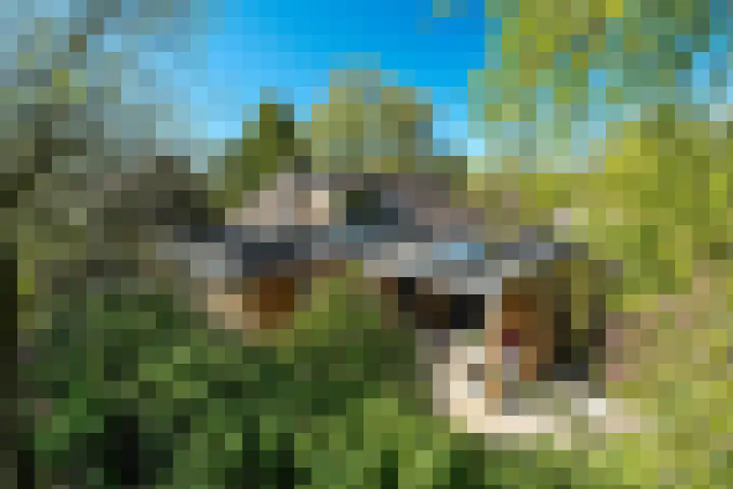 Tearnserdyk 18 Goutum thumbnail 7