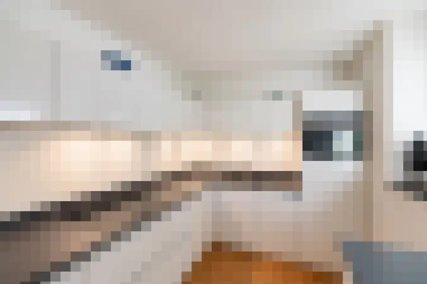 Tebinckslaan 23 Gasselte thumbnail 12