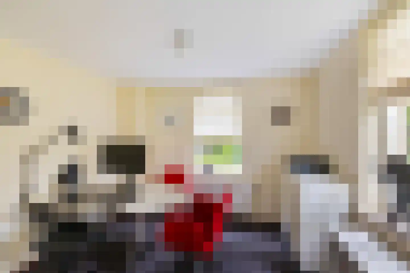 Tebinckslaan 23 Gasselte thumbnail 16
