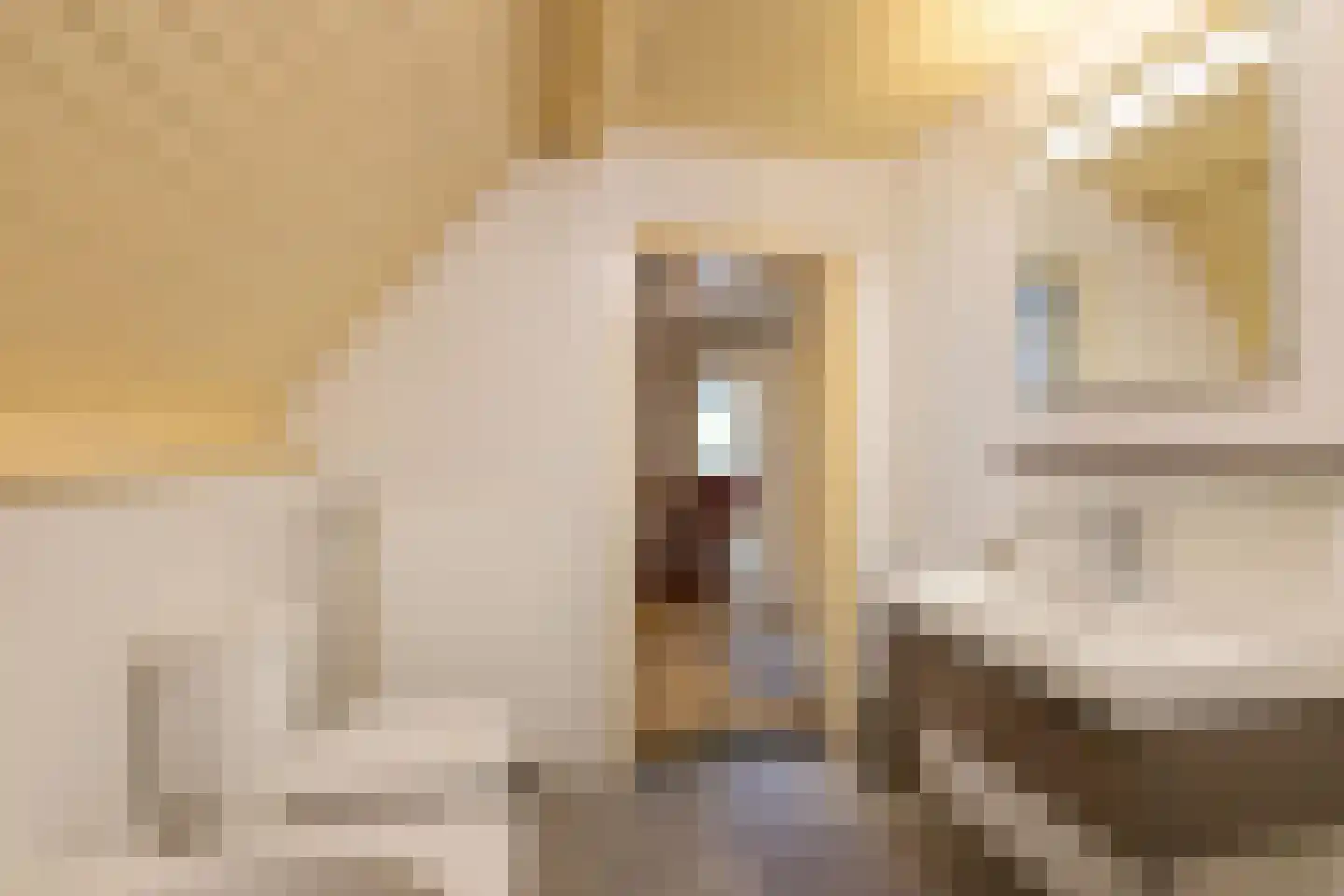 Tebinckslaan 23 Gasselte thumbnail 22