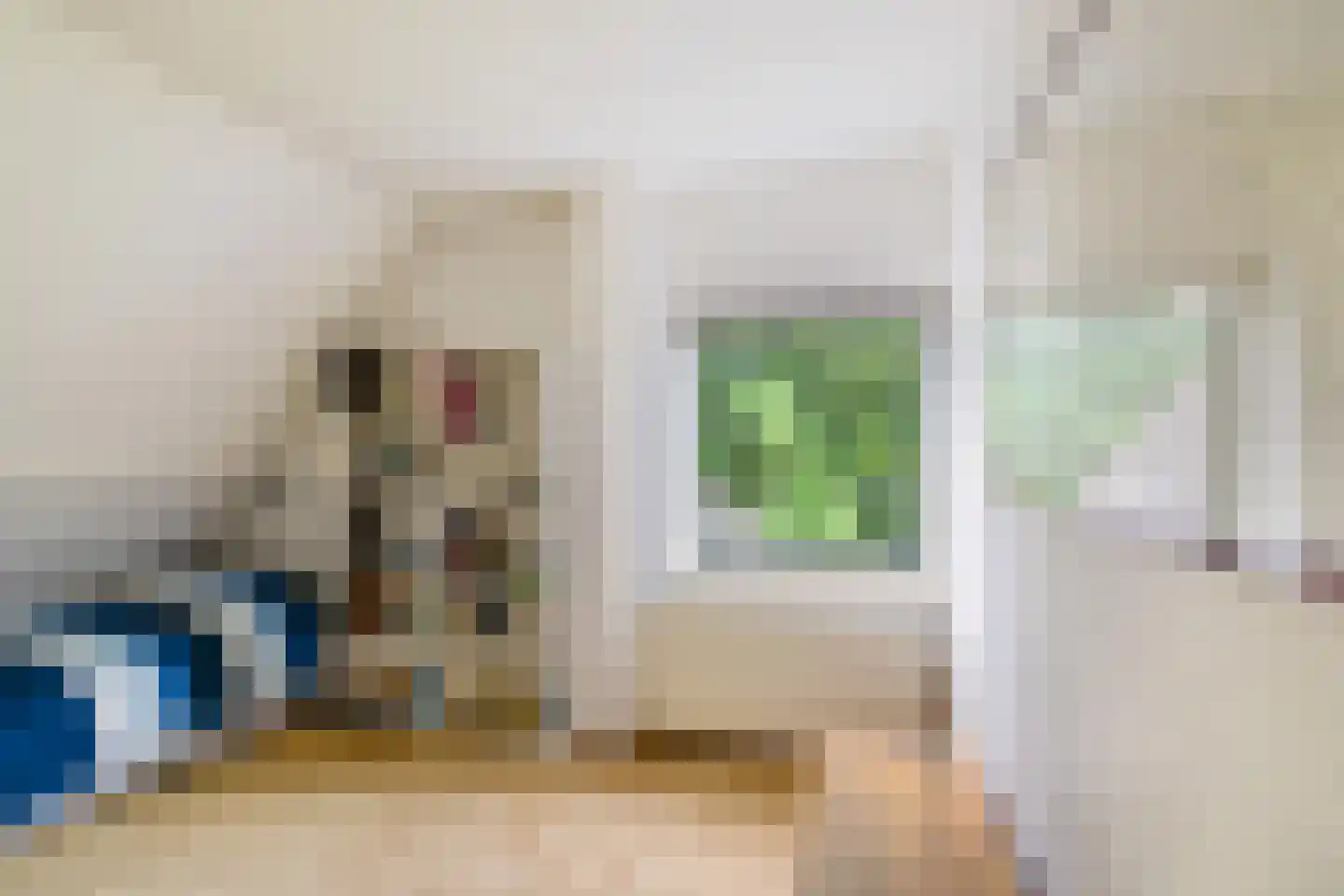 Tebinckslaan 23 Gasselte thumbnail 24
