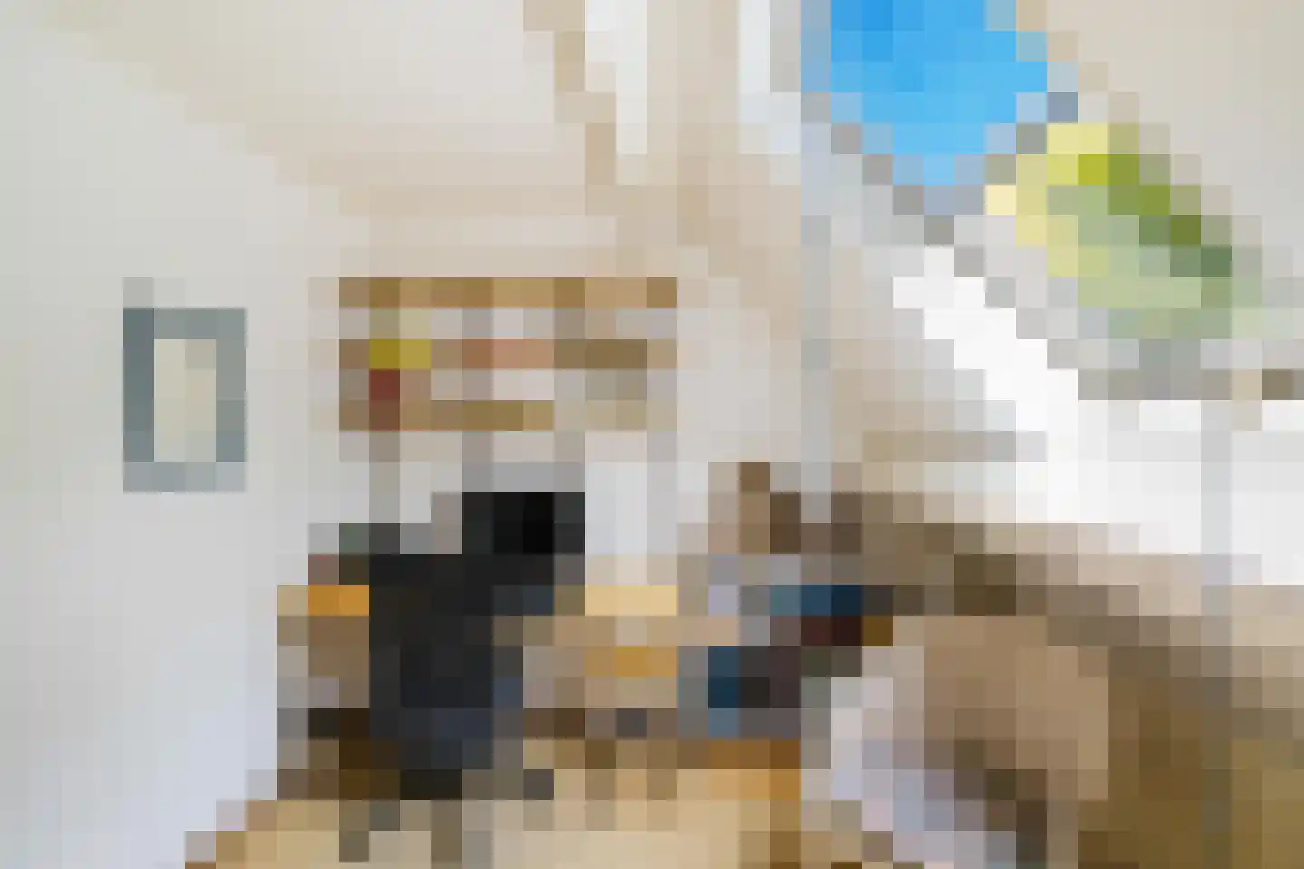 Tebinckslaan 23 Gasselte thumbnail 27