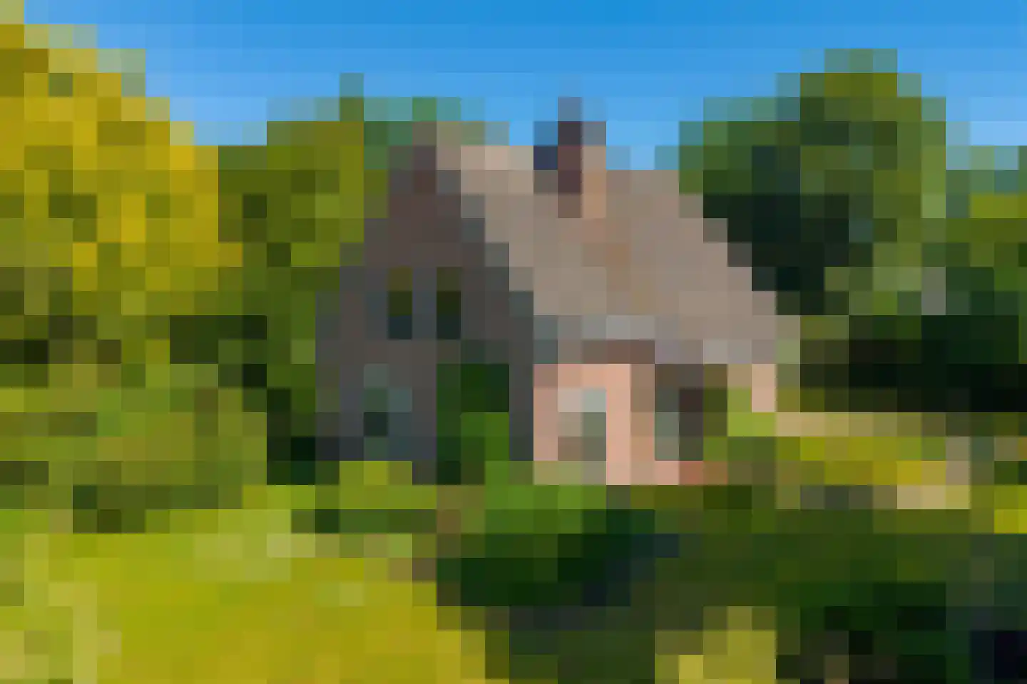 Tebinckslaan 23 Gasselte thumbnail 28