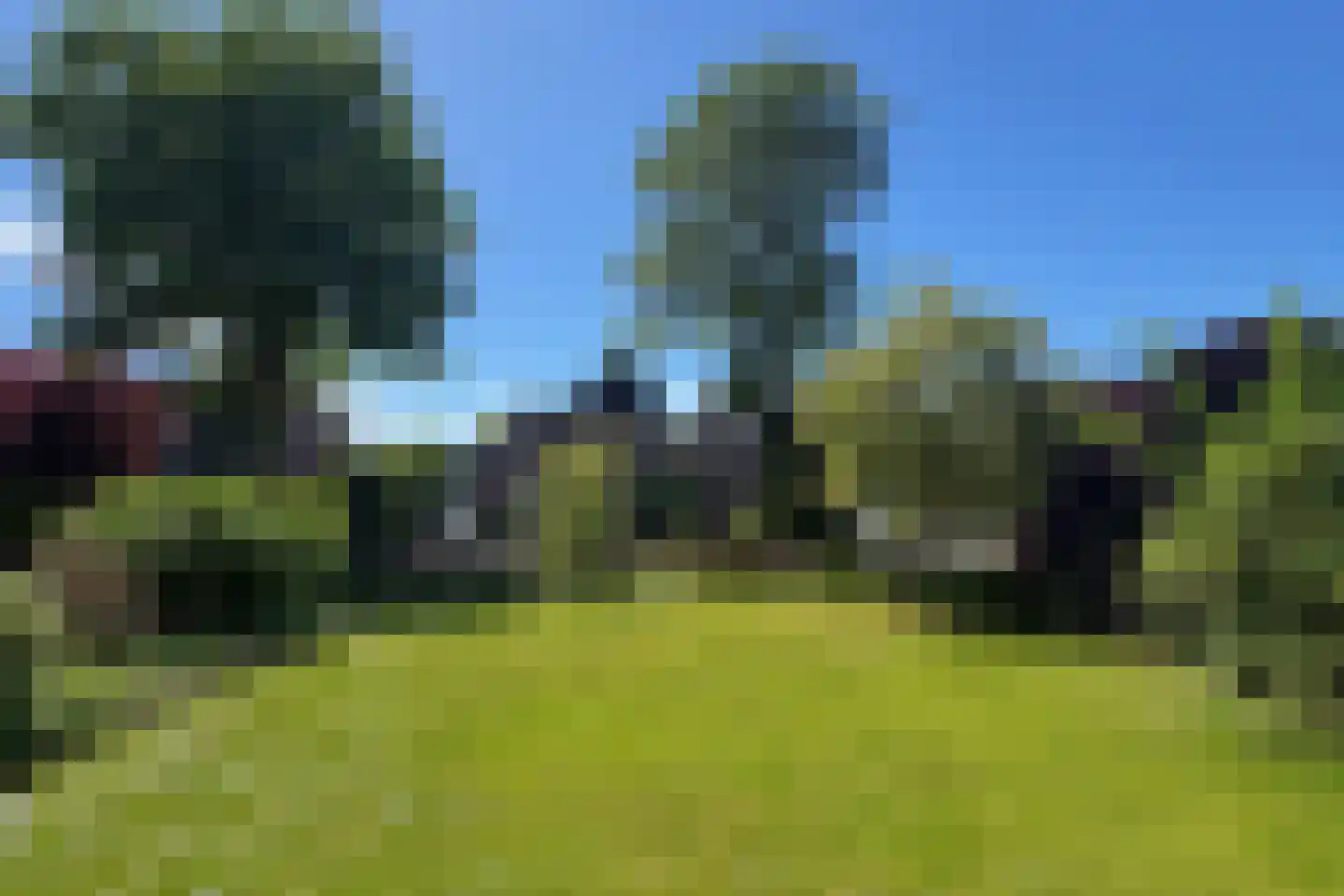 Tebinckslaan 23 Gasselte thumbnail 29