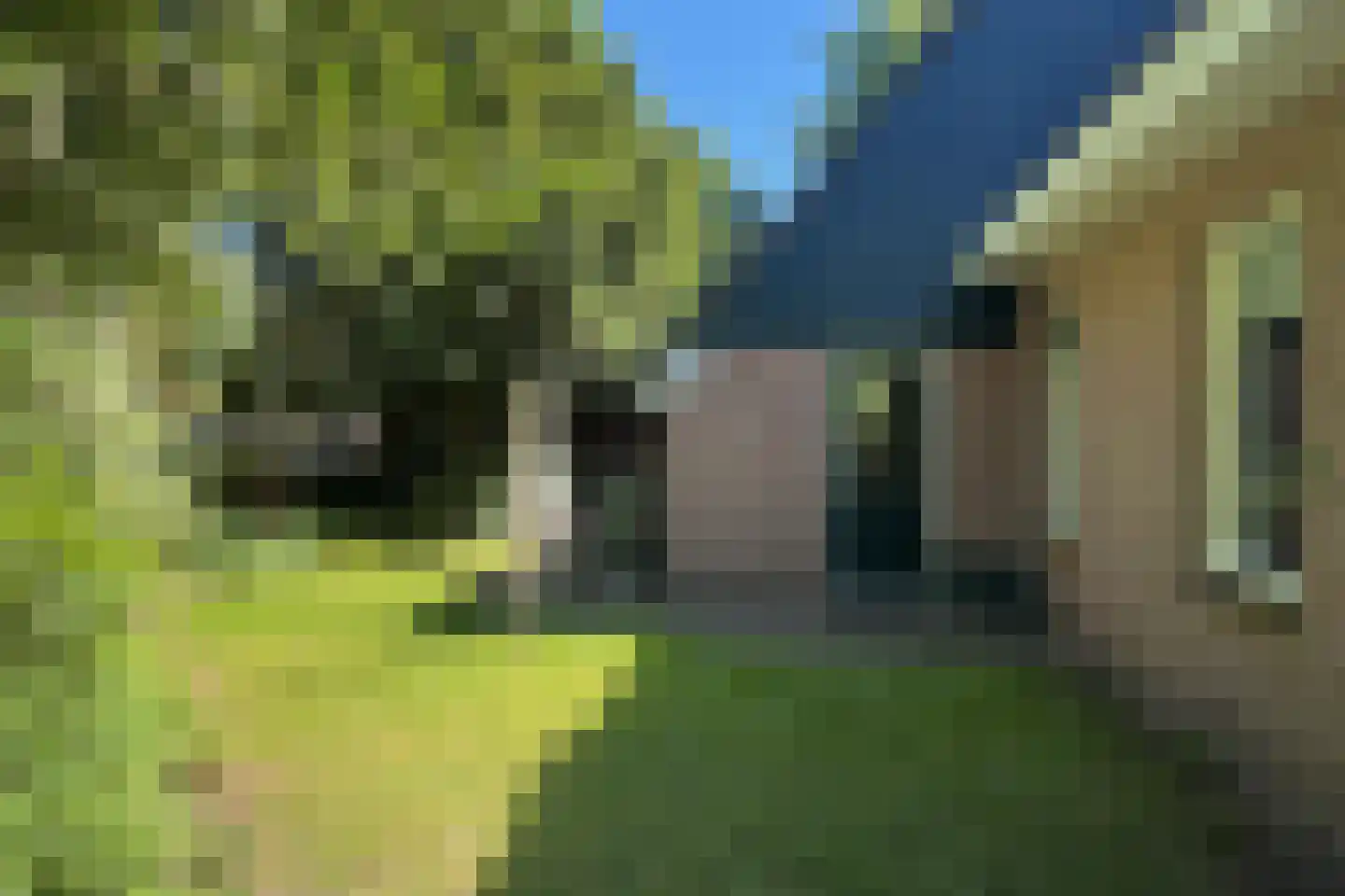 Tebinckslaan 23 Gasselte thumbnail 31