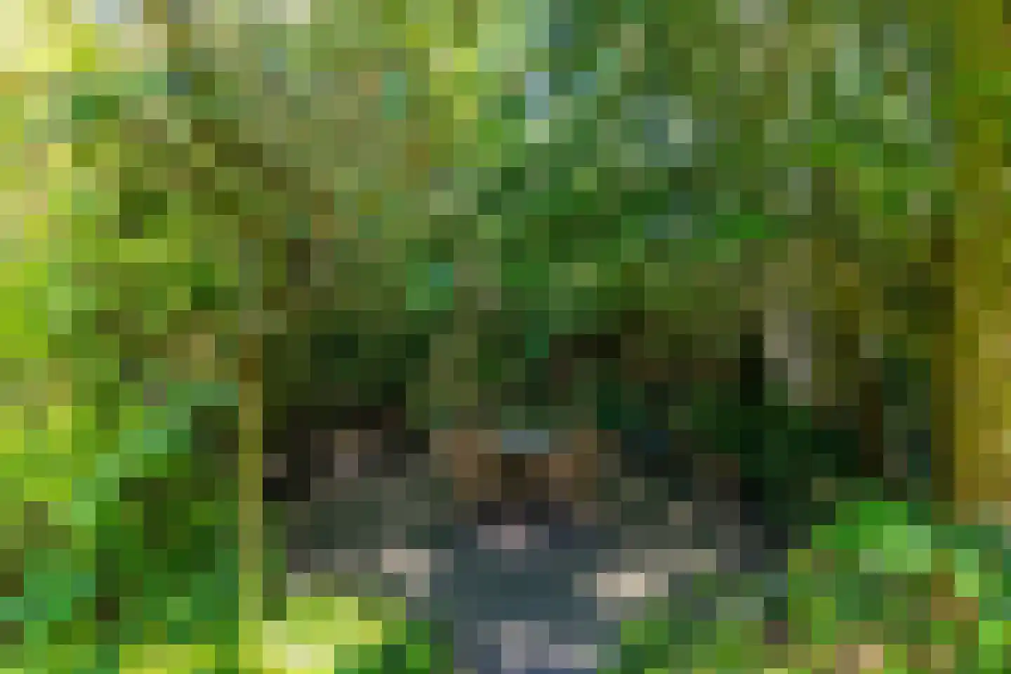 Tebinckslaan 23 Gasselte thumbnail 32