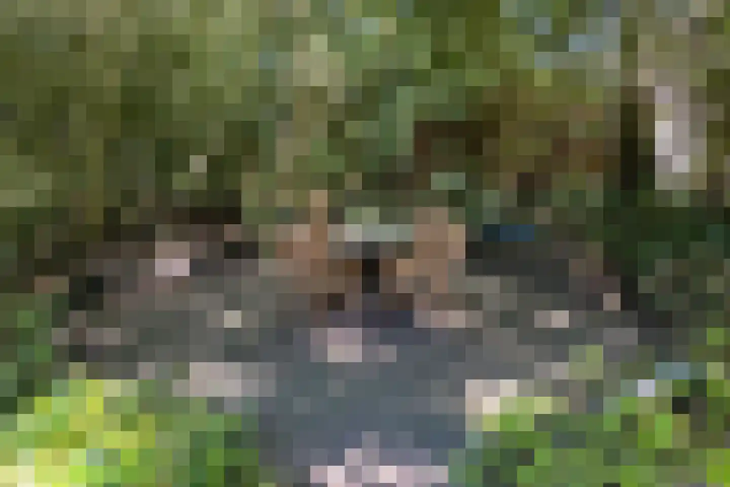 Tebinckslaan 23 Gasselte thumbnail 33