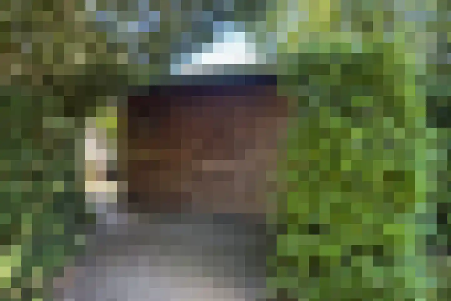 Tebinckslaan 23 Gasselte thumbnail 34