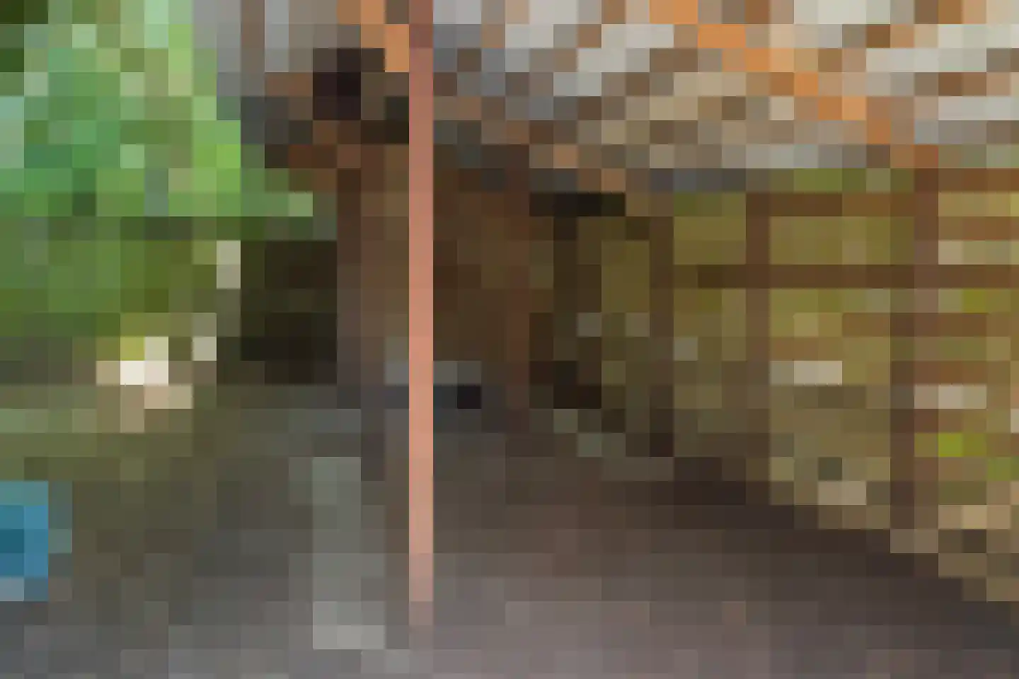 Tebinckslaan 23 Gasselte thumbnail 35