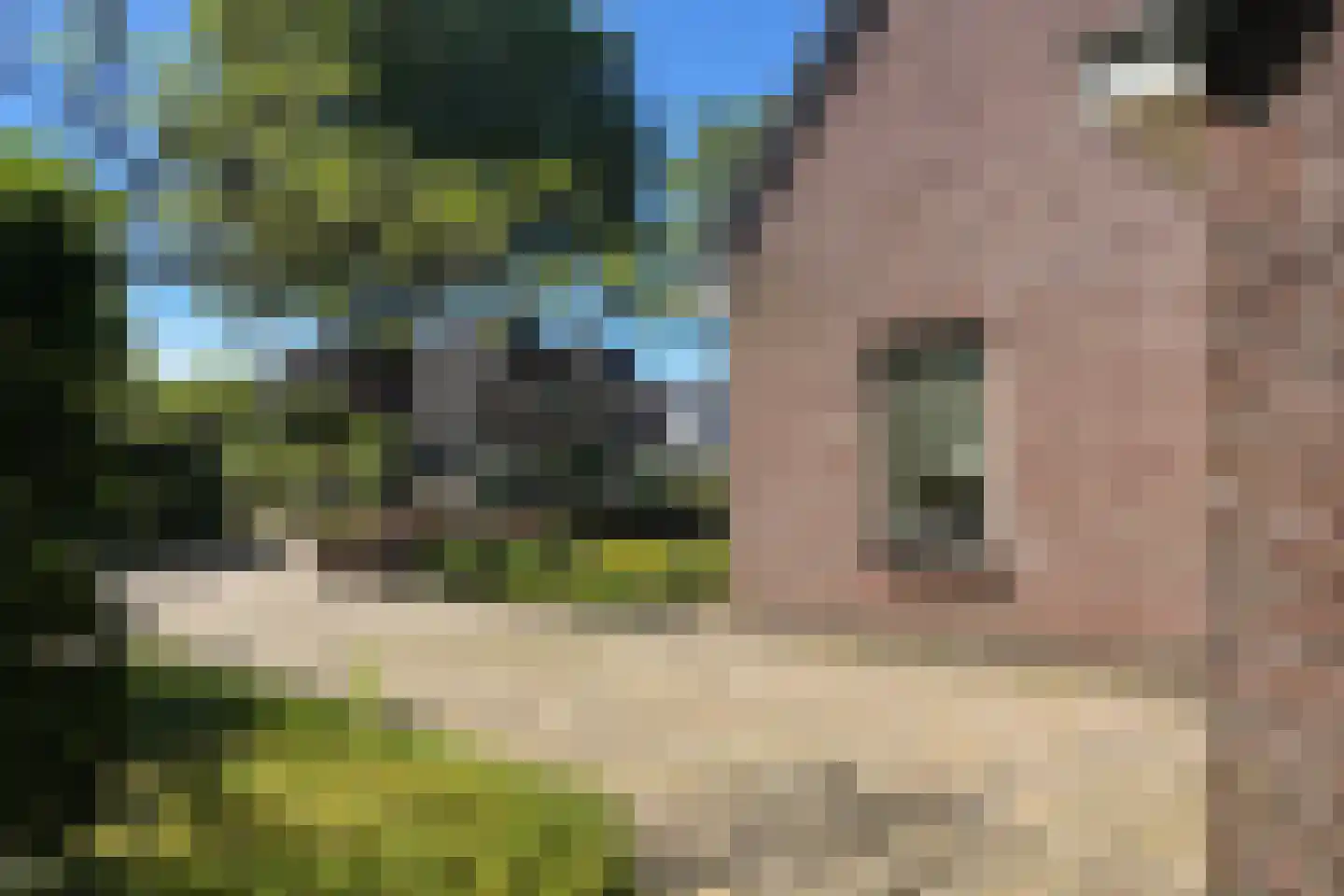 Tebinckslaan 23 Gasselte thumbnail 36