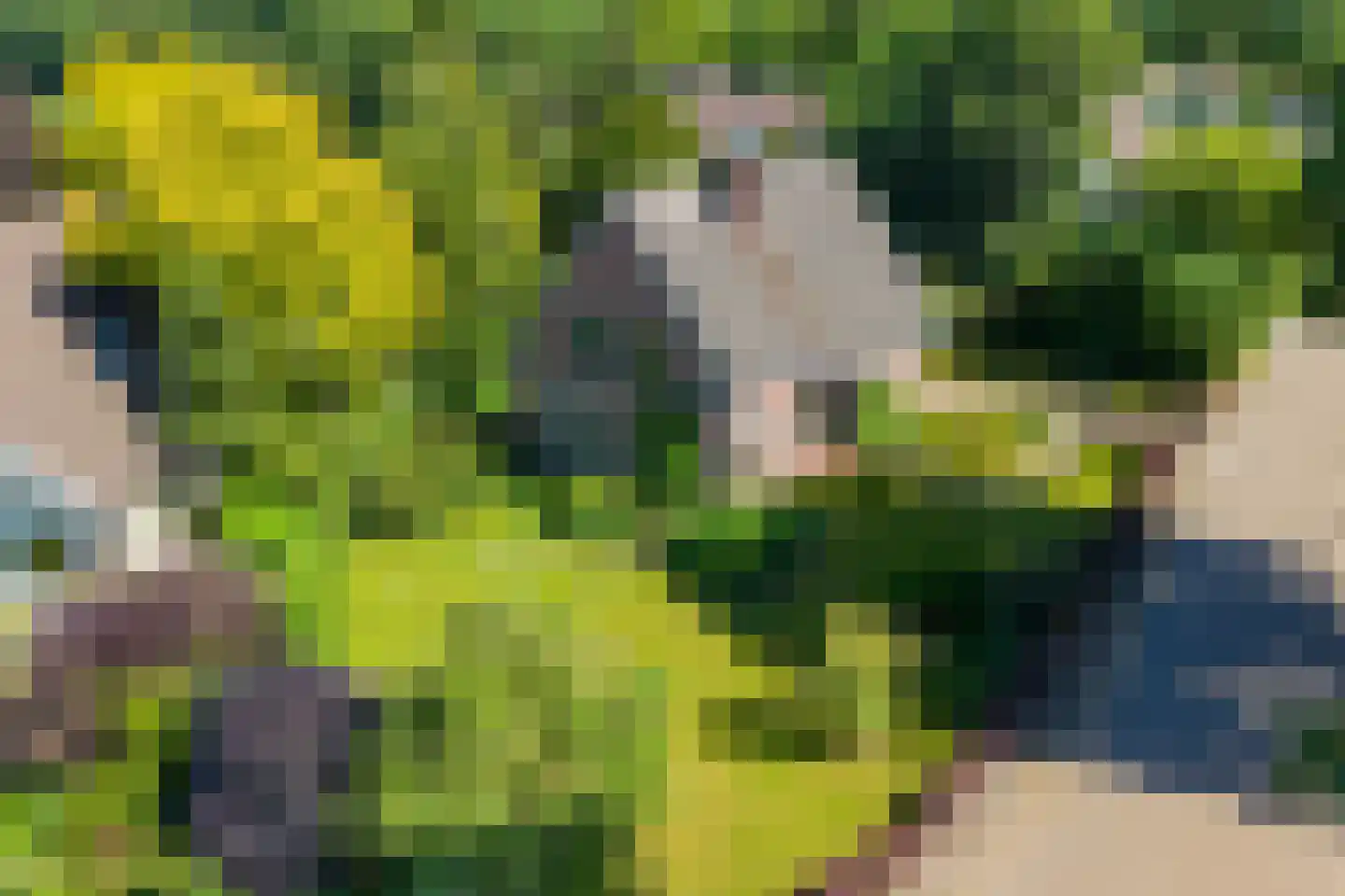 Tebinckslaan 23 Gasselte thumbnail 41