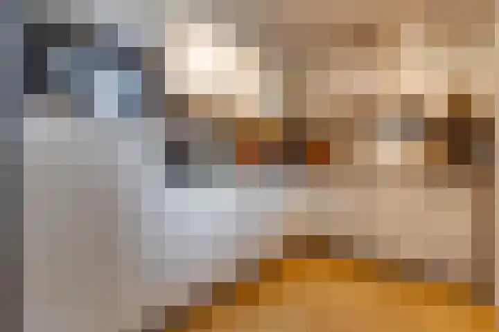Tebinckslaan 7 Gasselte thumbnail 10