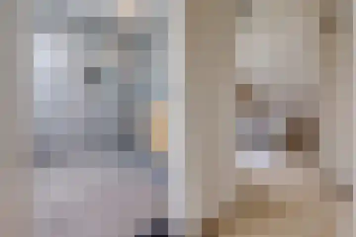 Tebinckslaan 7 Gasselte thumbnail 16
