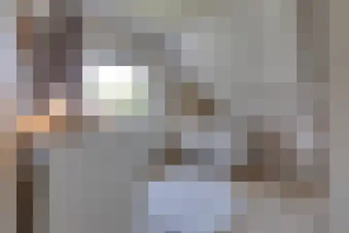 Tebinckslaan 7 Gasselte thumbnail 18