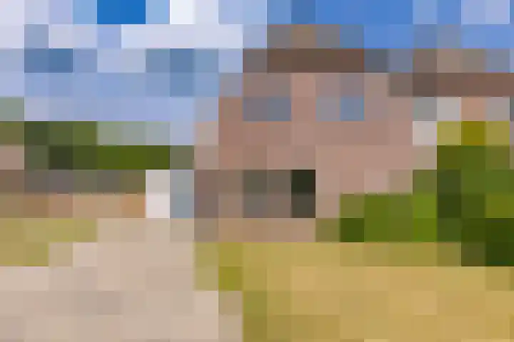 Tebinckslaan 7 Gasselte foto 2