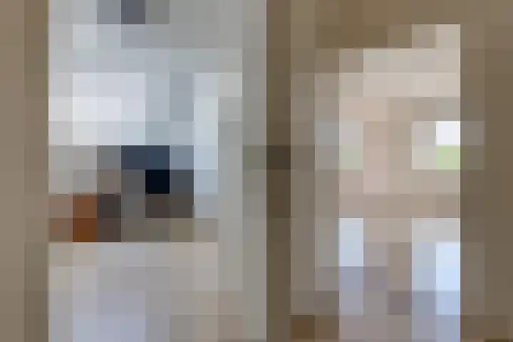 Tebinckslaan 7 Gasselte thumbnail 20